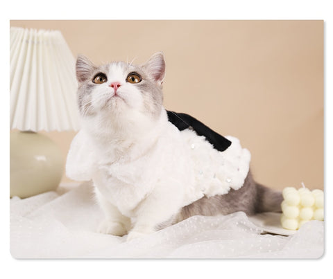 HOOPET Pet Clothes Elegant Luxury Fur Winter Overcoat Small Dog Cat Clothes Bowknot Chihuahua