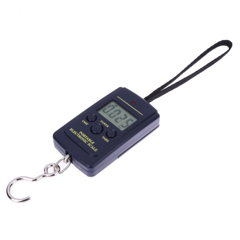 Multifunctional Electronic Hanging Fishing Scale